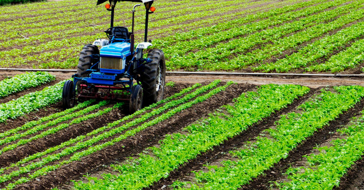 Geld in Landwirtschaft investieren